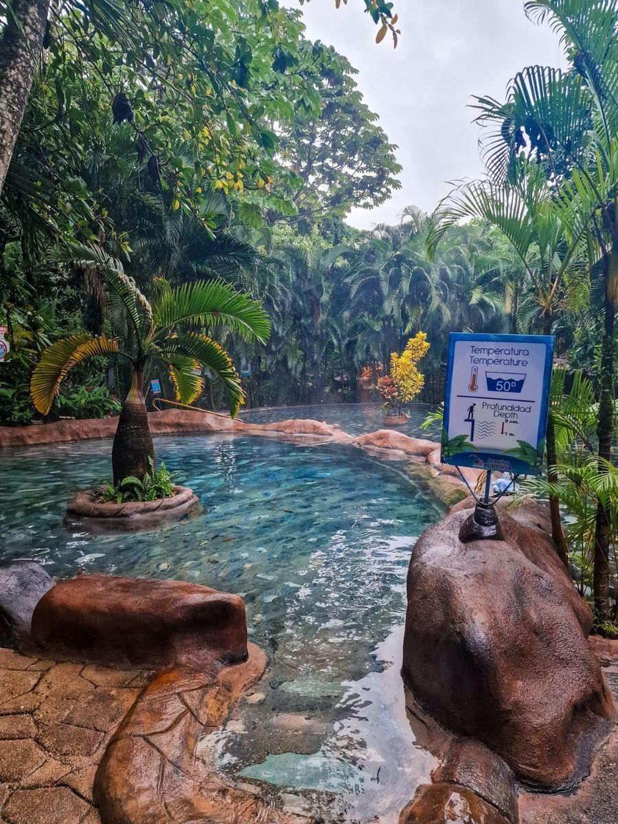 코스카리카 발디.jpg.jpeg