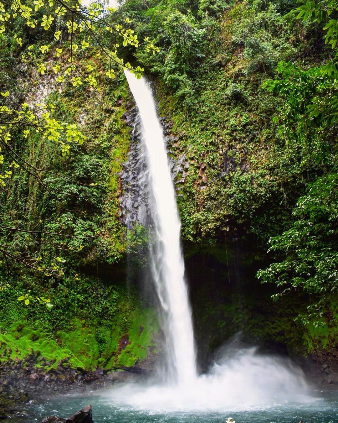 코스카리카 라 파스 워터펄 2.jpg.jpeg